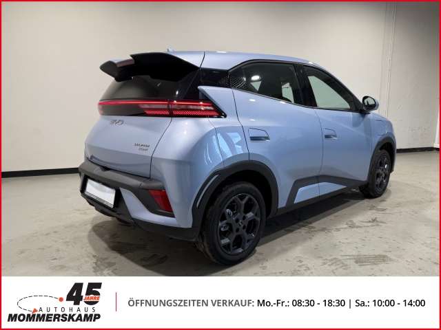 Fahrzeugbild eines BYD DOLPHIN