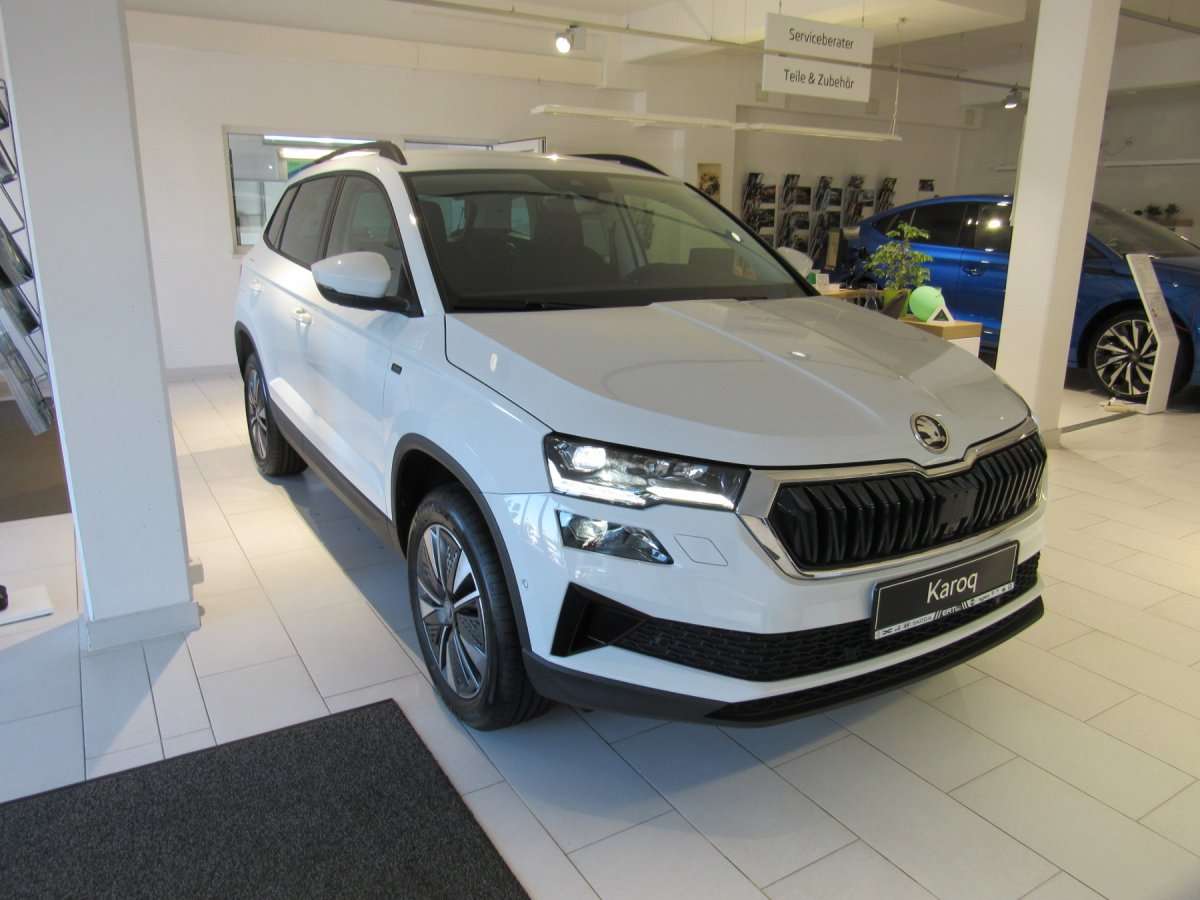 Fahrzeugbild eines Skoda Karoq