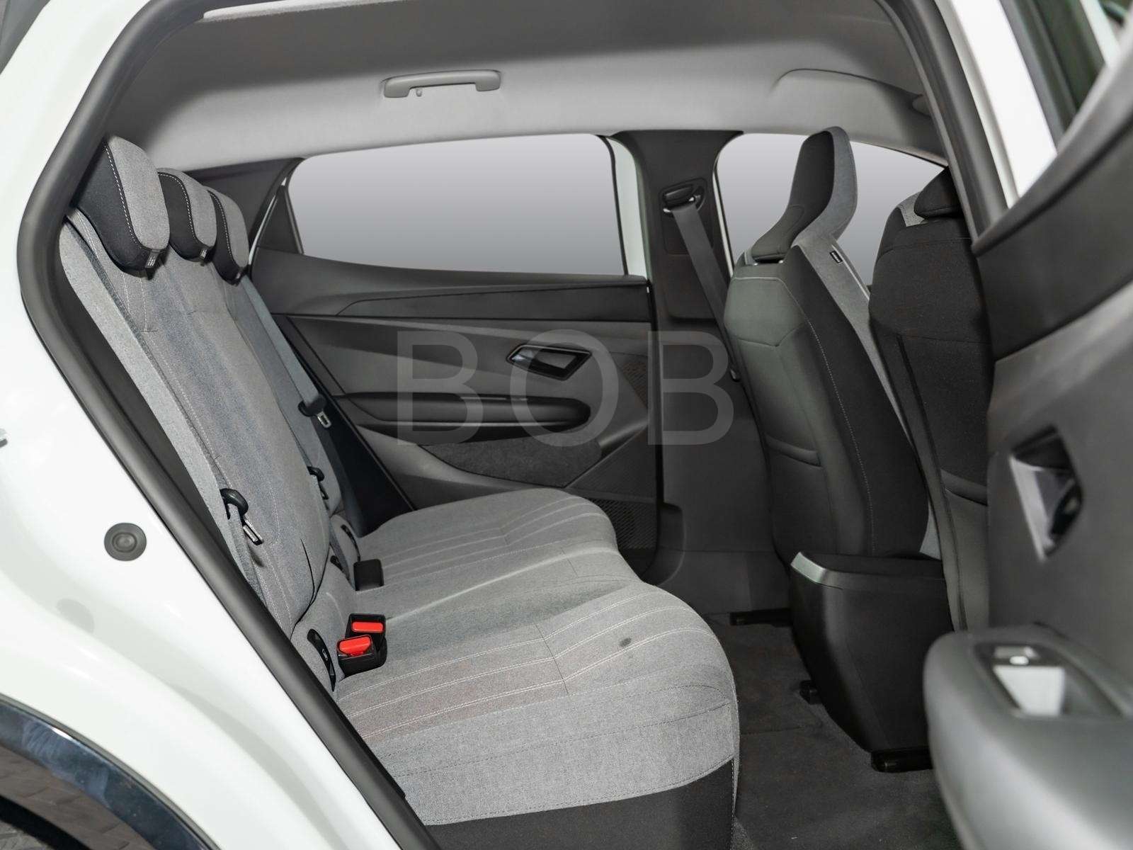 Fahrzeugbild eines Renault Megane E-TECH