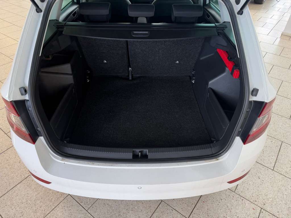 Fahrzeugbild eines Skoda Fabia