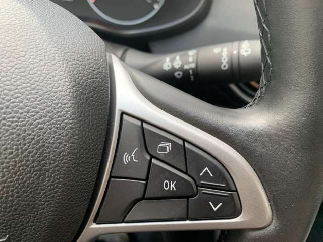 Fahrzeugbild eines Dacia Jogger