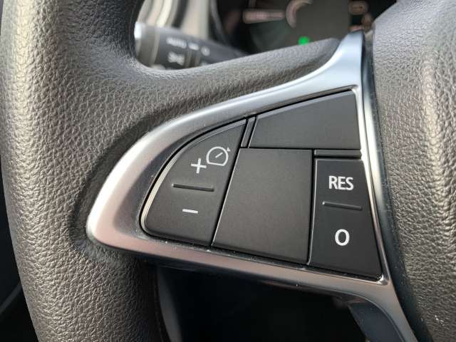 Fahrzeugbild eines Dacia Spring