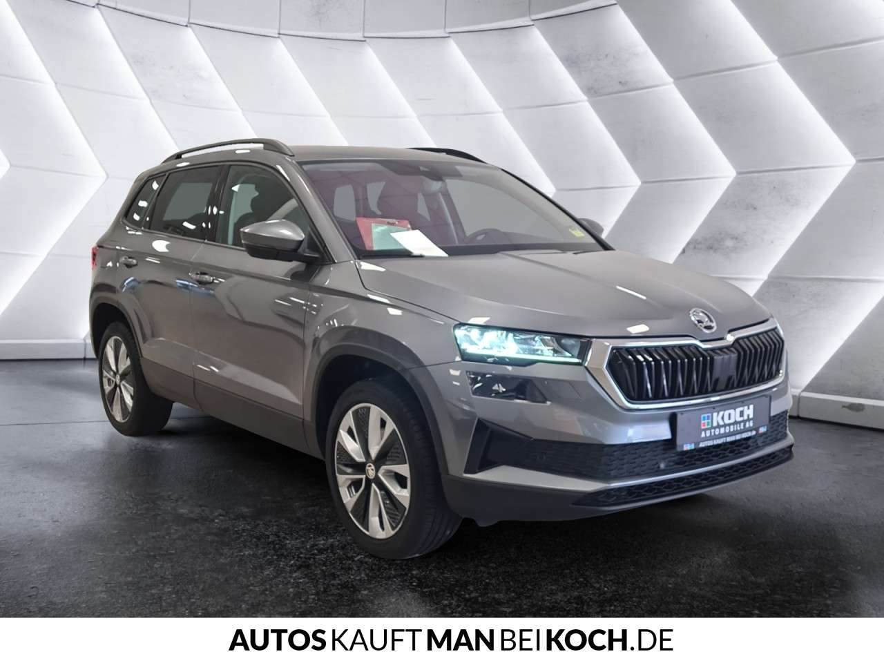 Fahrzeugbild eines Skoda Karoq