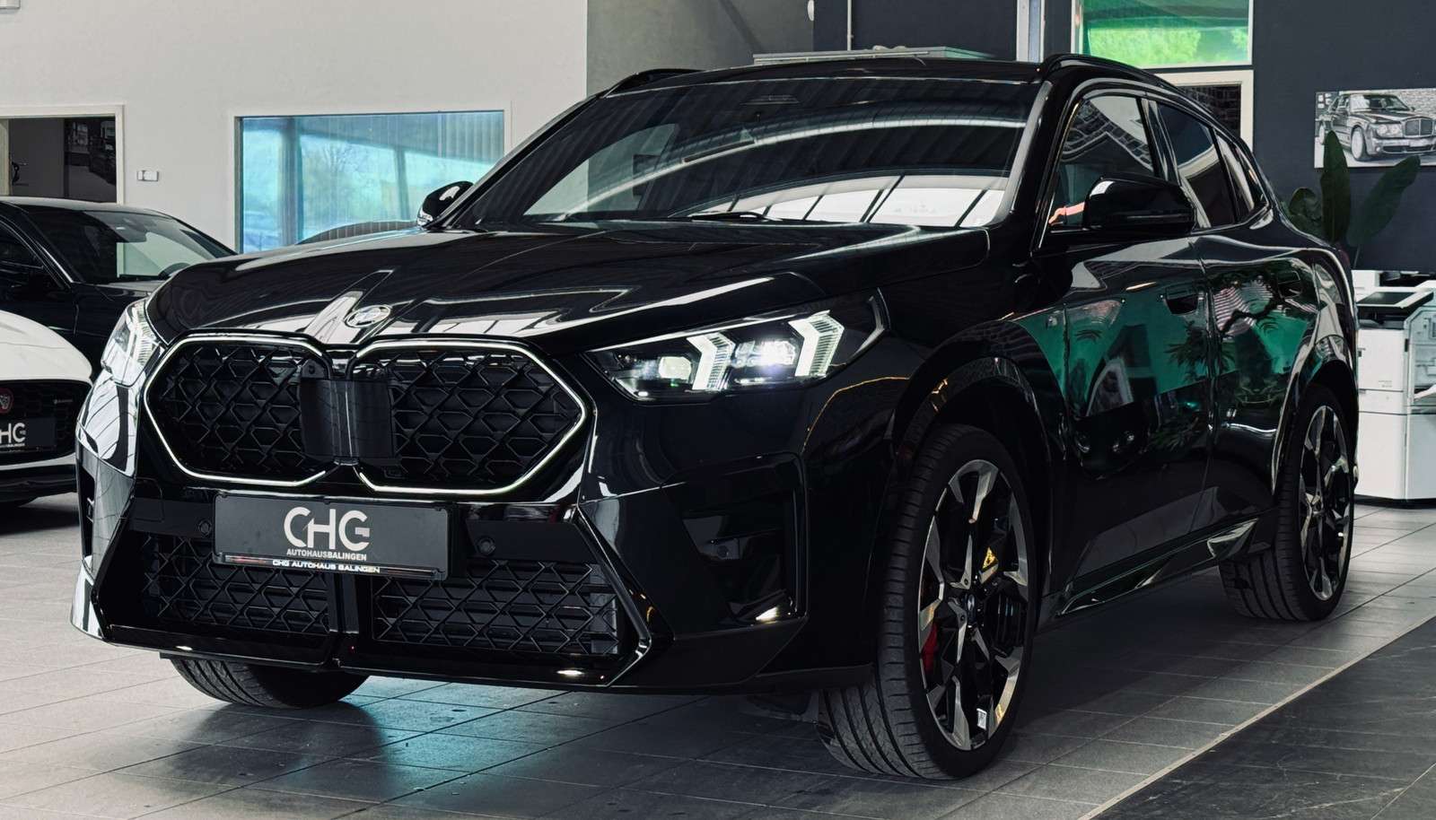 Fahrzeugbild eines BMW X2