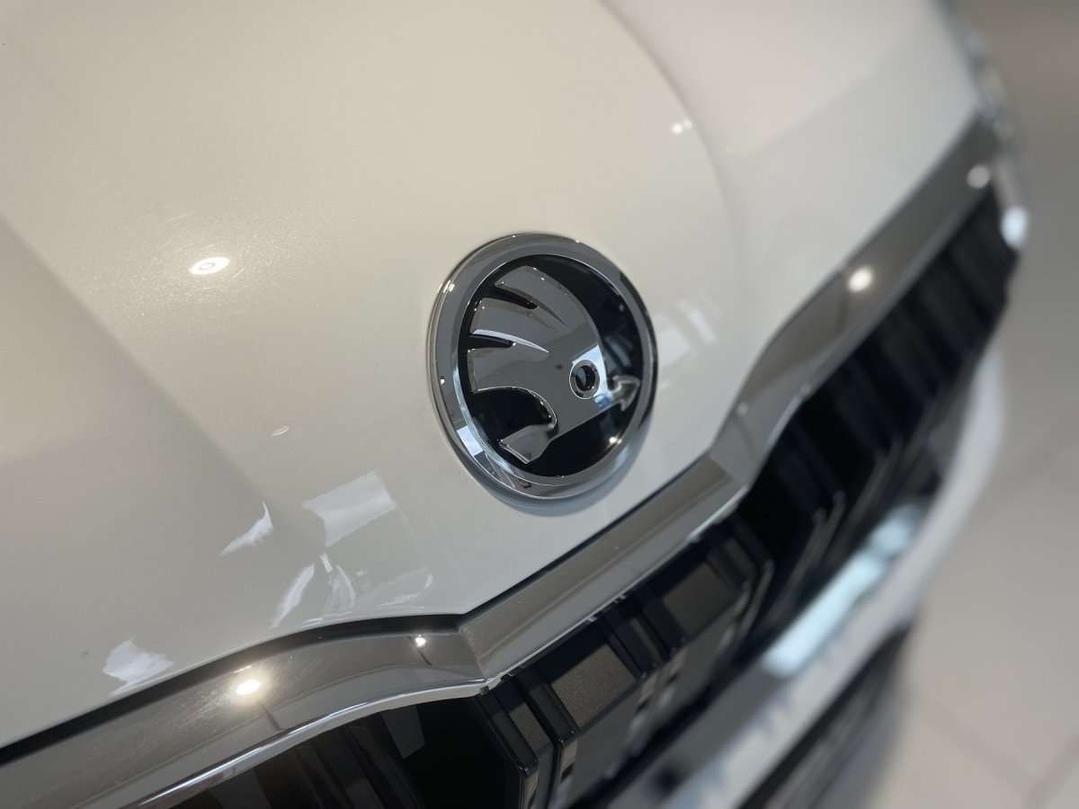 Fahrzeugbild eines Skoda Kamiq