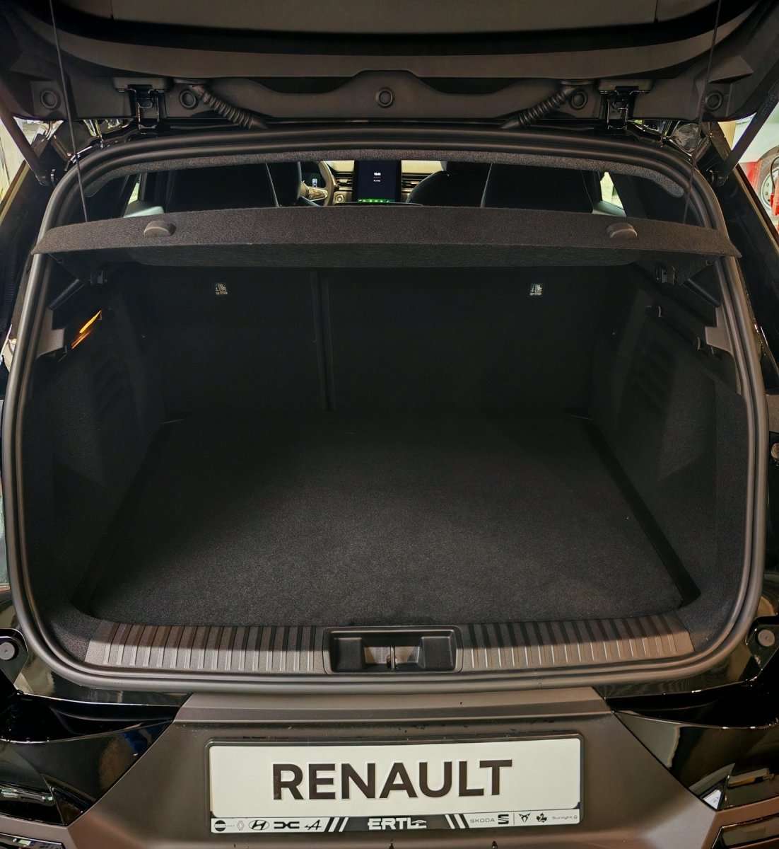 Fahrzeugbild eines Renault Symbioz