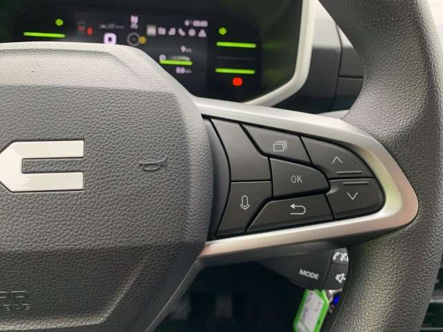 Fahrzeugbild eines Dacia Spring