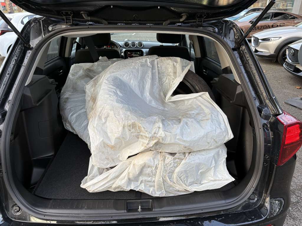 Fahrzeugbild eines Suzuki Vitara