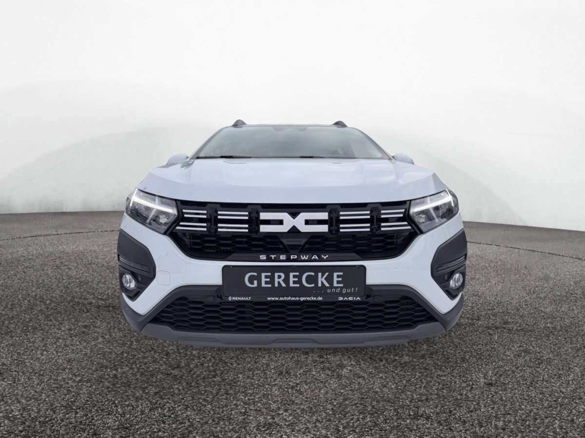 Fahrzeugbild eines Dacia Sandero