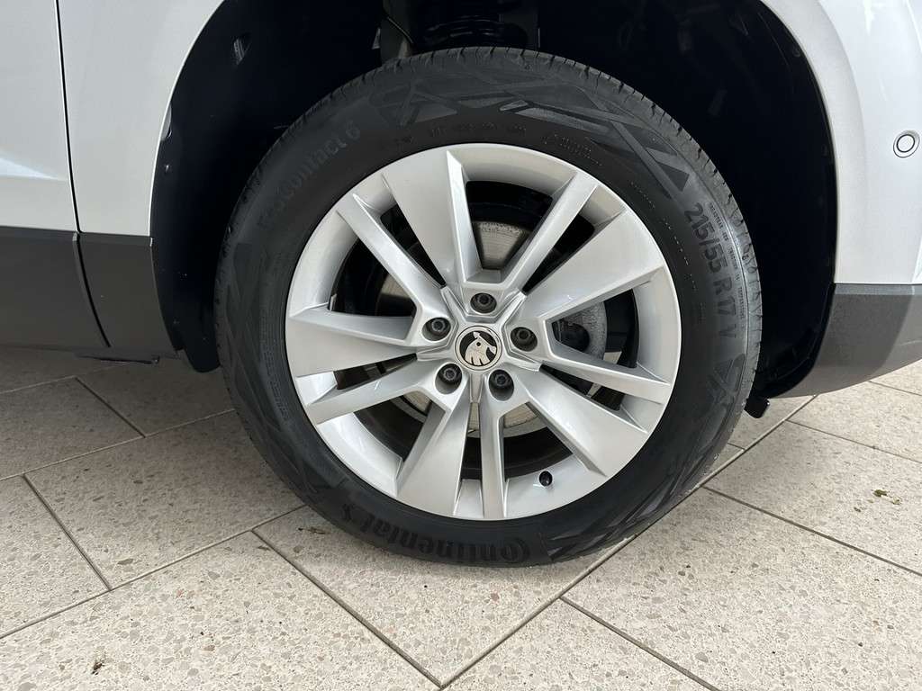 Fahrzeugbild eines Skoda Karoq