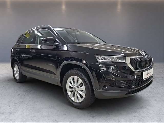 Fahrzeugbild eines Skoda Karoq