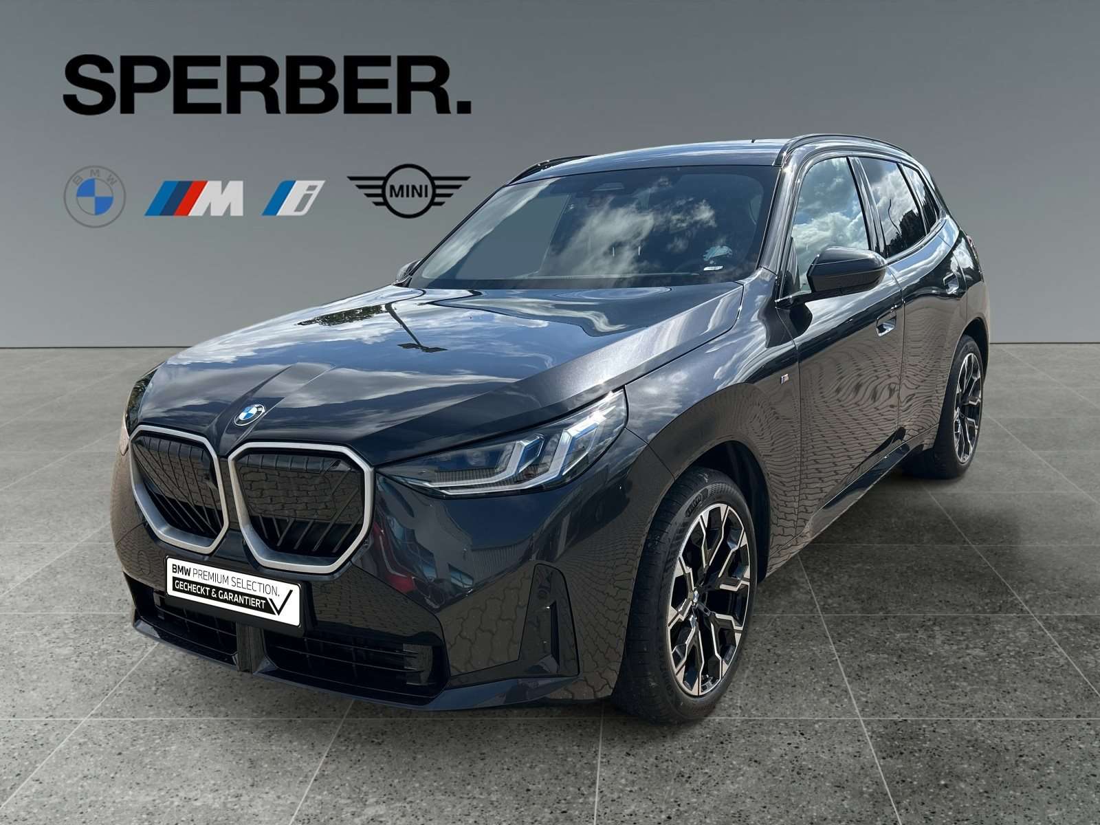Fahrzeugbild eines BMW X3