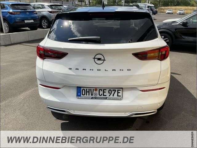 Fahrzeugbild eines Opel Grandland X
