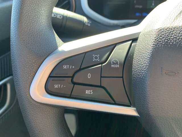 Fahrzeugbild eines Dacia Spring