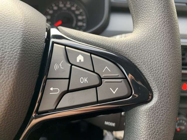 Fahrzeugbild eines Dacia Sandero