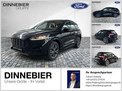 Bild Ford Kuga