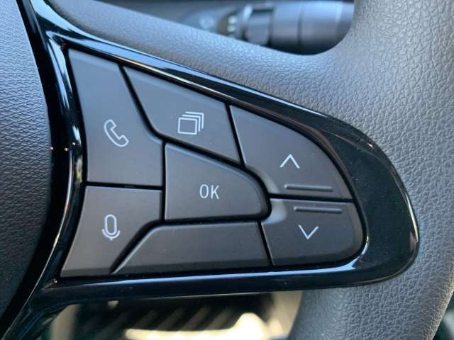 Fahrzeugbild eines Renault Master