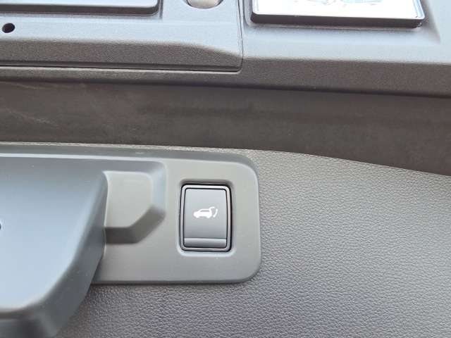 Fahrzeugbild eines Mitsubishi Grandis