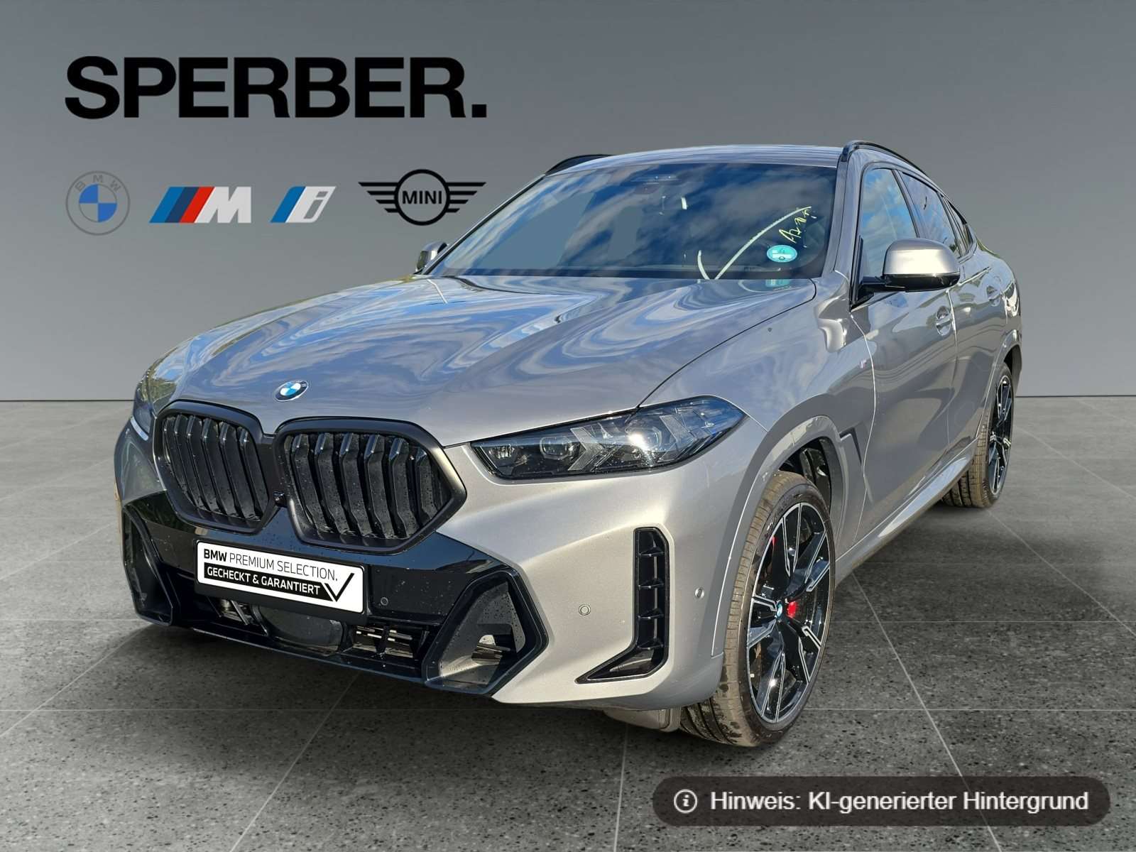 Fahrzeugbild eines BMW X6