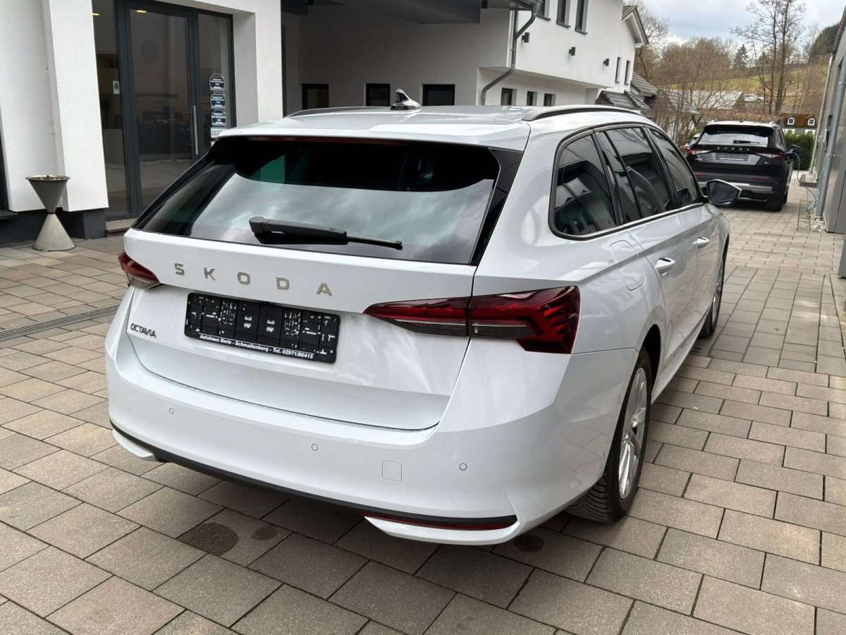 Fahrzeugbild eines Skoda Octavia