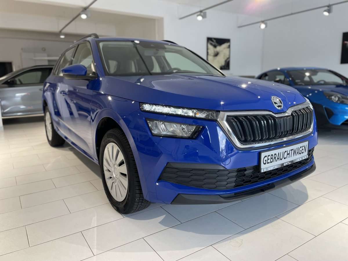 Fahrzeugbild eines Skoda Kamiq