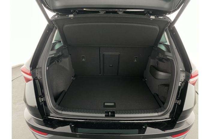 Fahrzeugbild eines Skoda Karoq