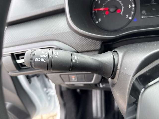 Fahrzeugbild eines Dacia Sandero
