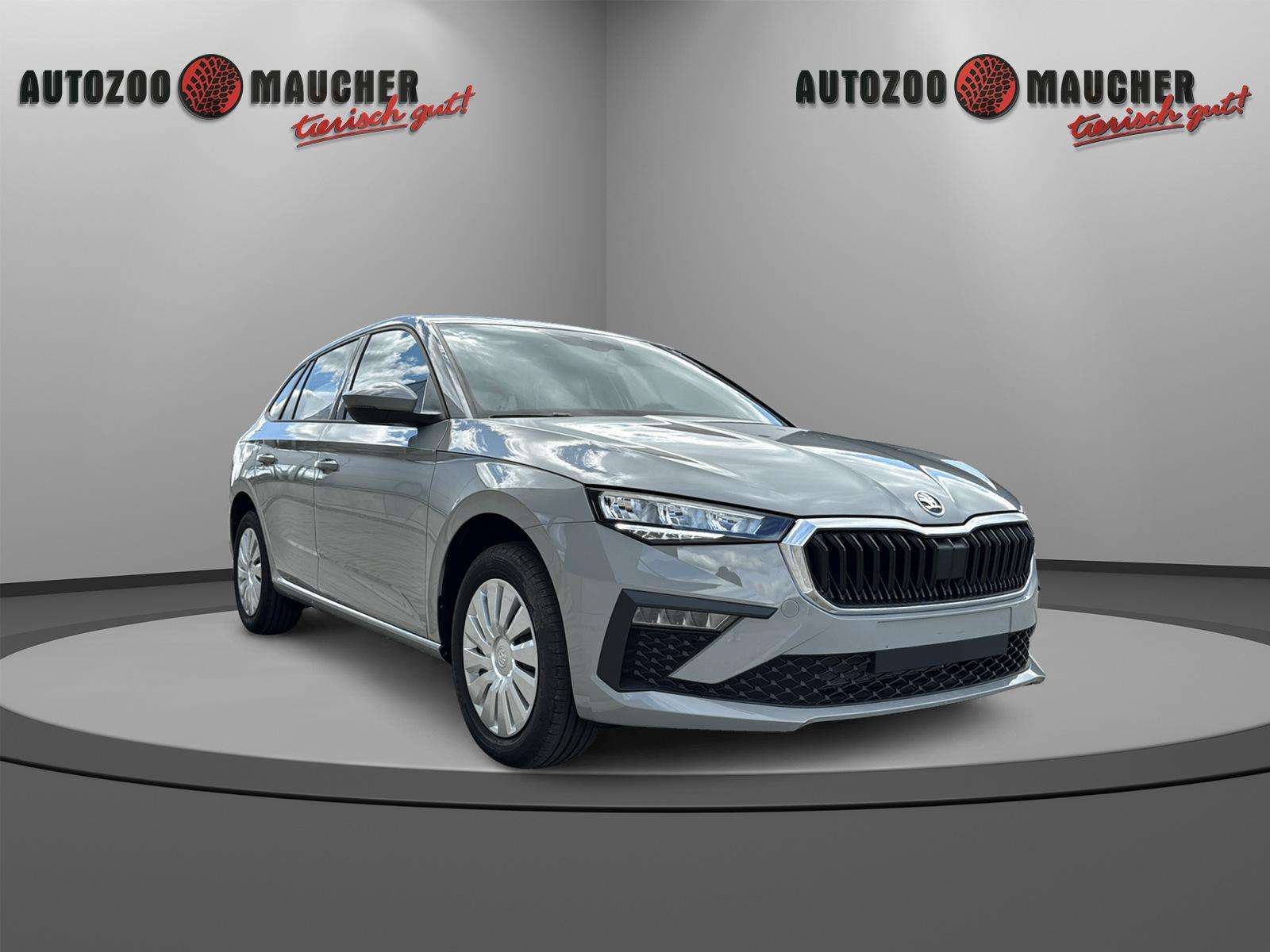 Fahrzeugbild eines Skoda Scala