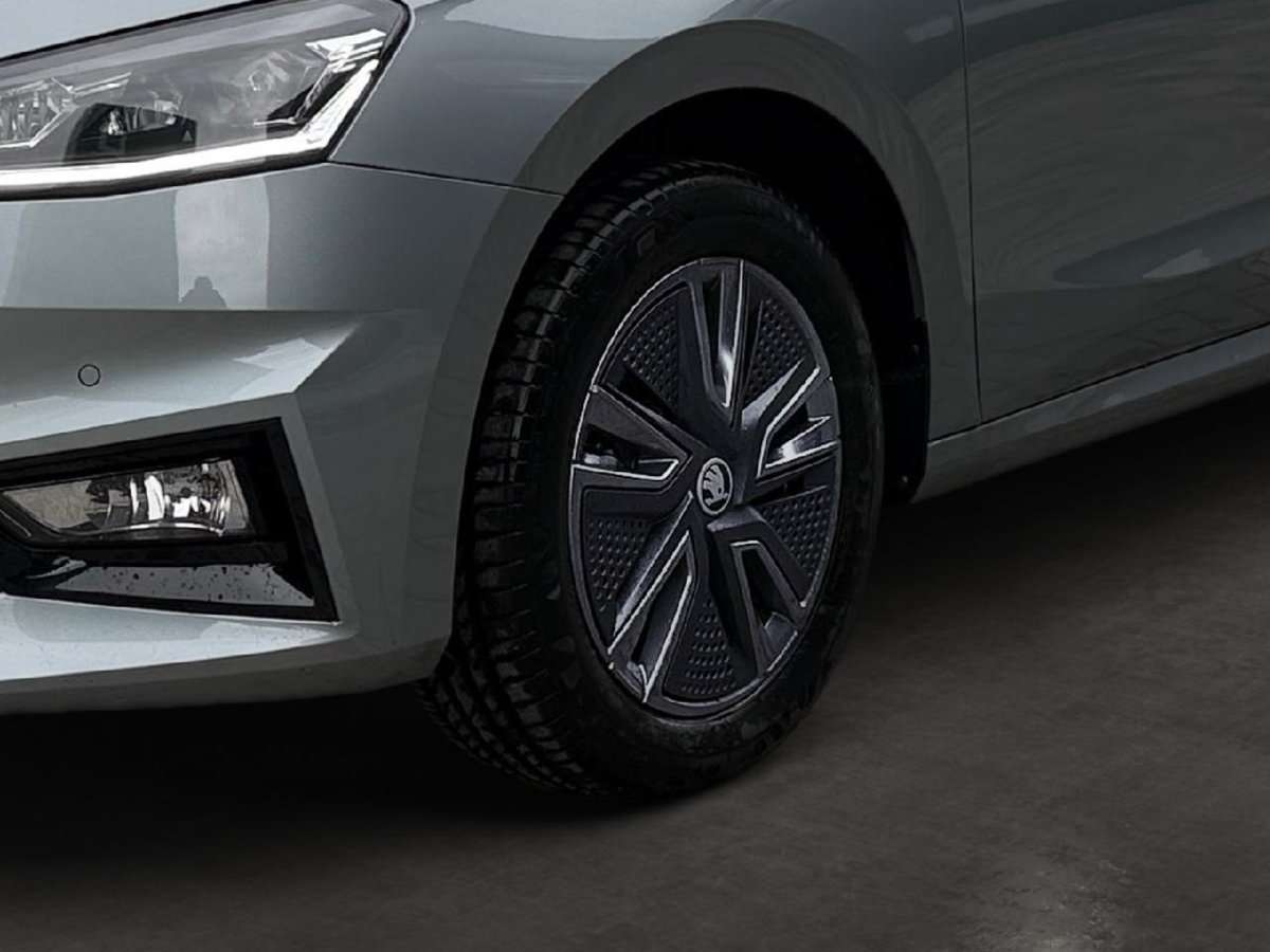 Fahrzeugbild eines Skoda Fabia