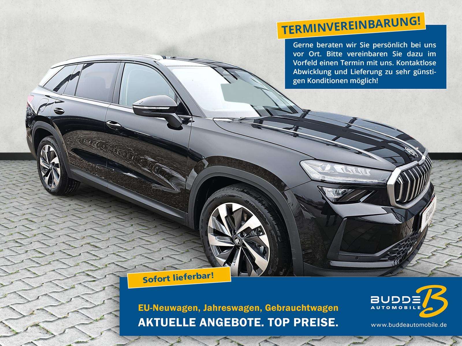 Fahrzeugbild eines Skoda Kodiaq