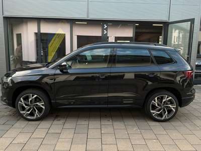 Bild Skoda Karoq
