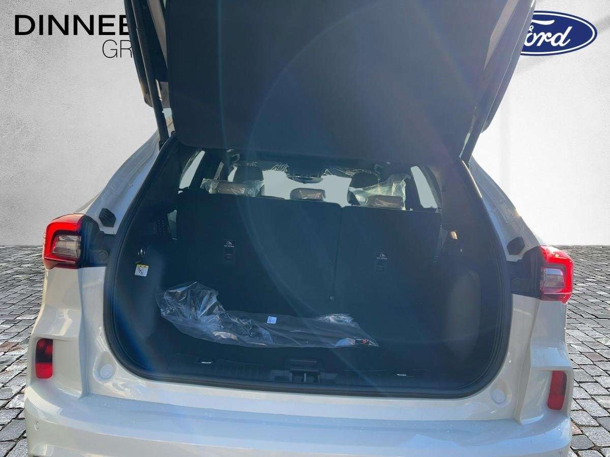 Fahrzeugbild eines Ford Kuga