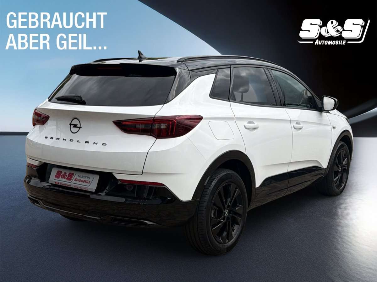 Fahrzeugbild eines Opel Grandland X