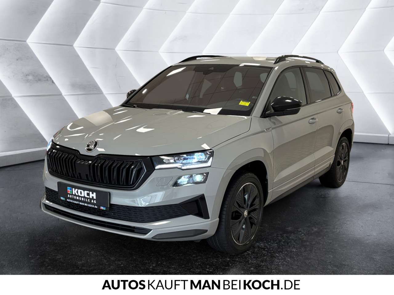 Fahrzeugbild eines Skoda Karoq