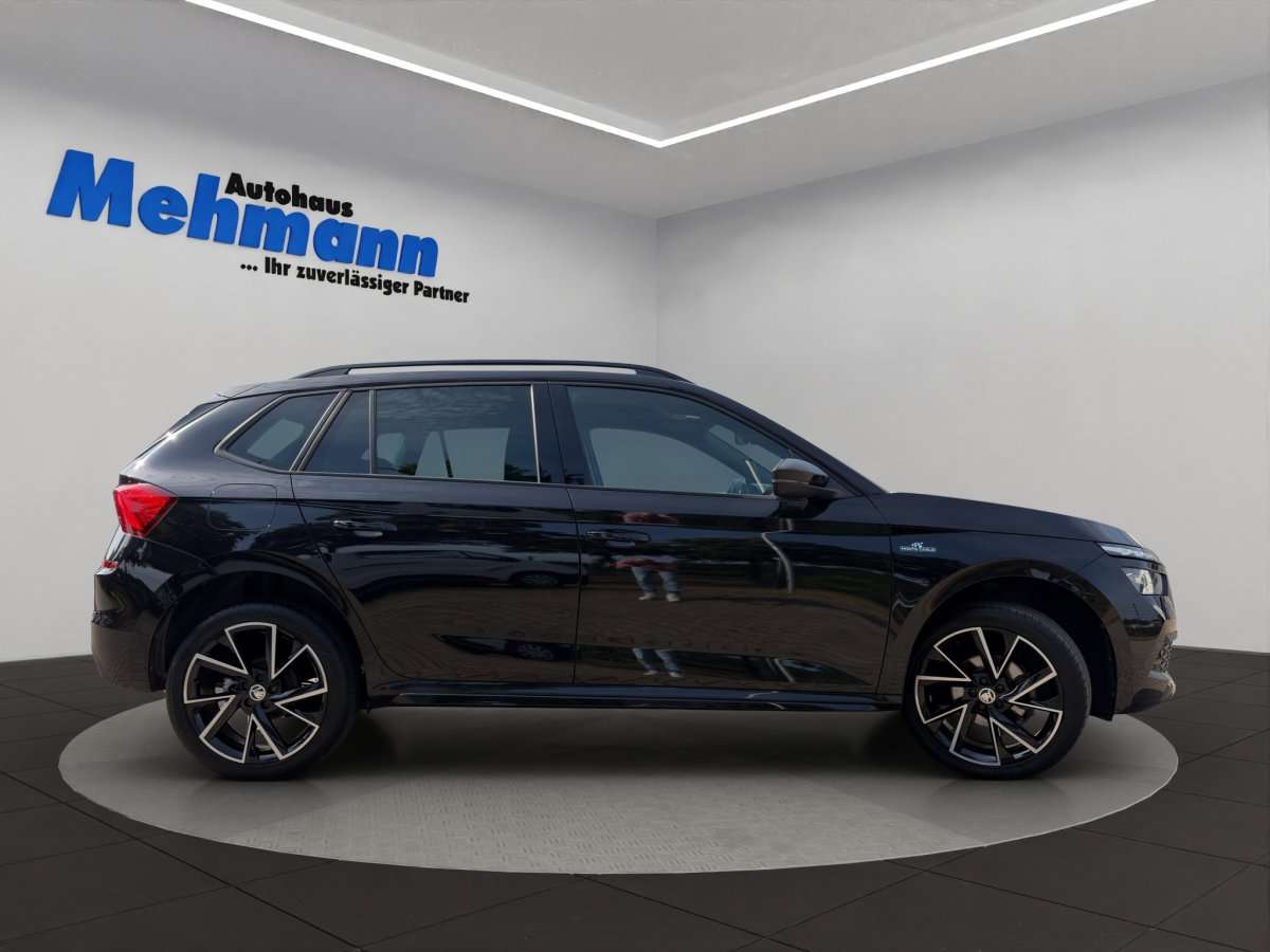 Fahrzeugbild eines Skoda Kamiq