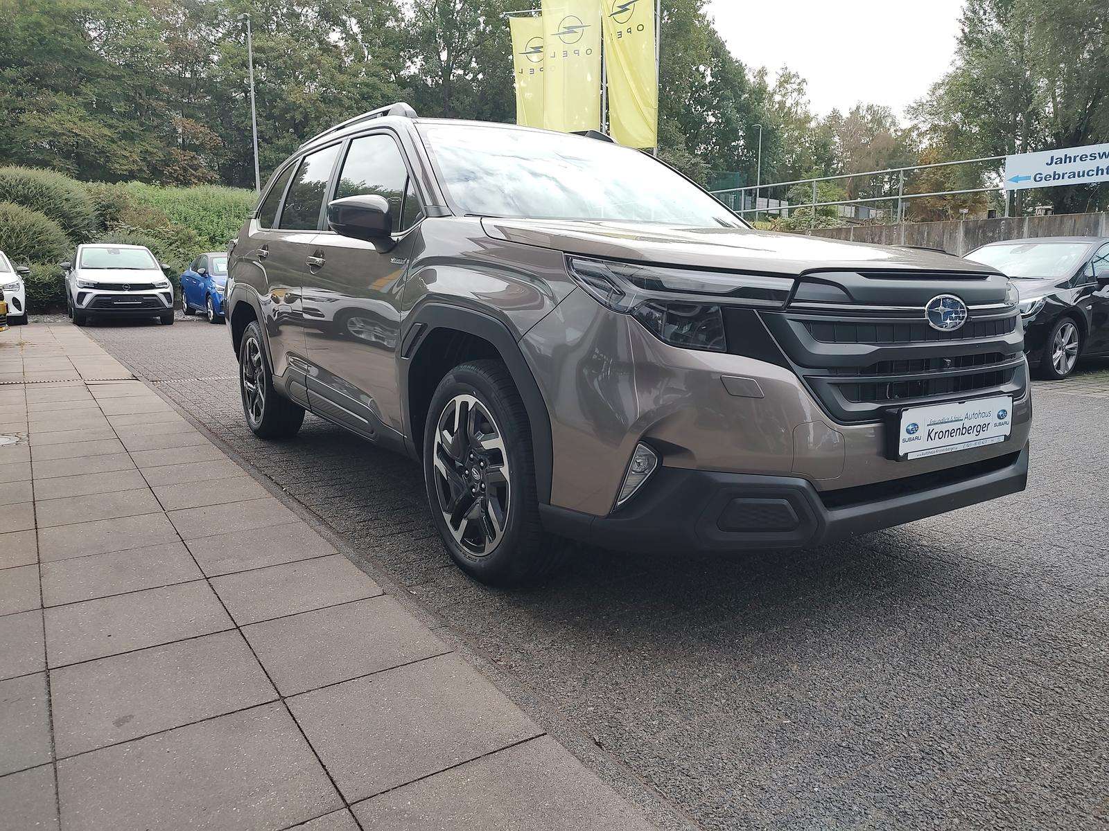 Fahrzeugbild eines Subaru Forester