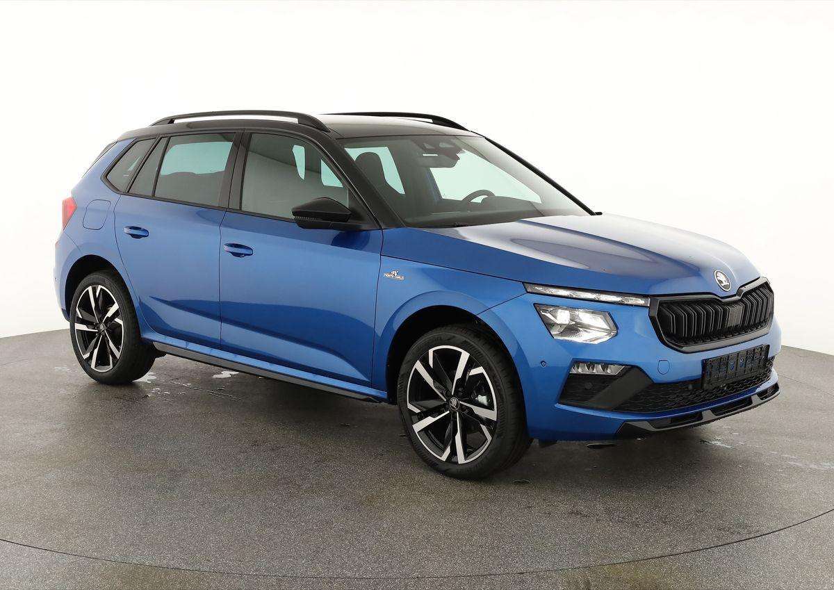 Fahrzeugbild eines Skoda Kamiq