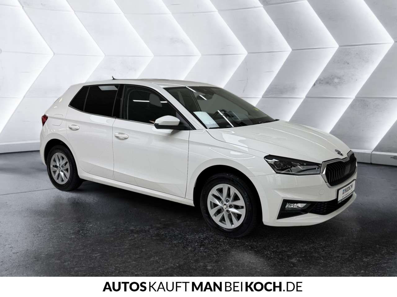 Fahrzeugbild eines Skoda Fabia