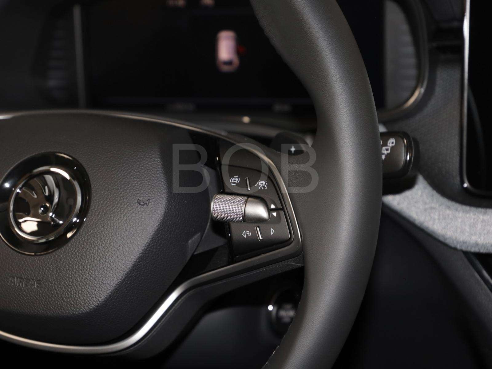 Fahrzeugbild eines Skoda Scala