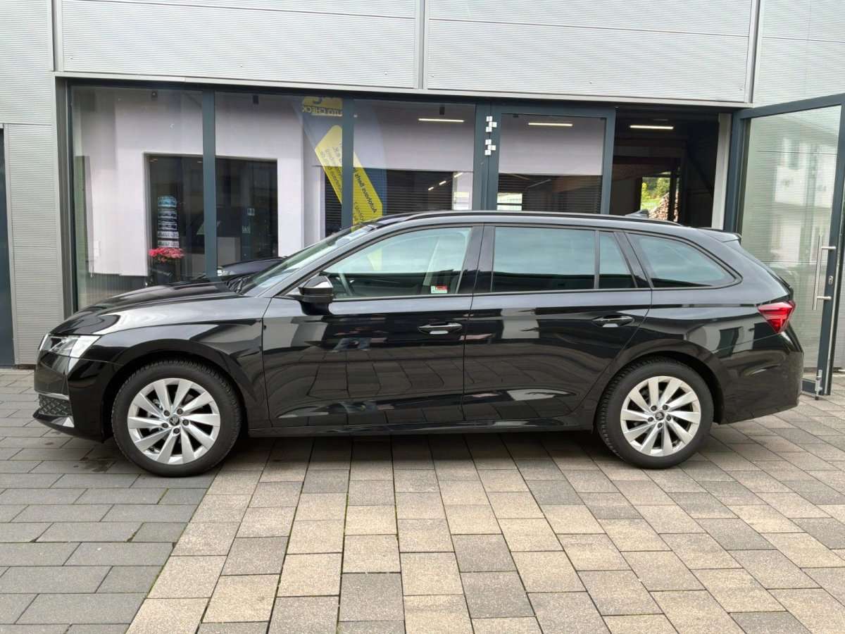 Fahrzeugbild eines Skoda Octavia