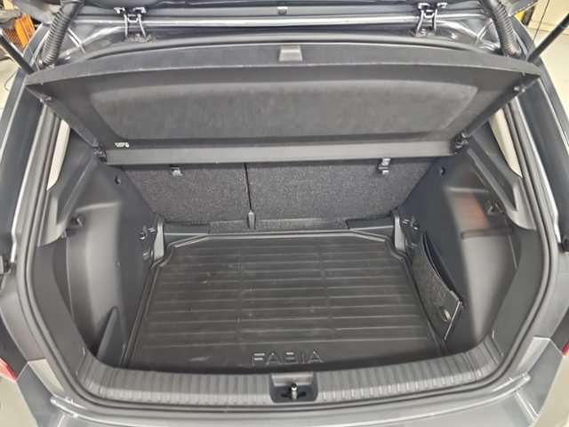 Fahrzeugbild eines Skoda Fabia