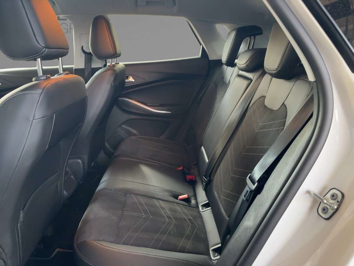 Fahrzeugbild eines Opel Grandland X