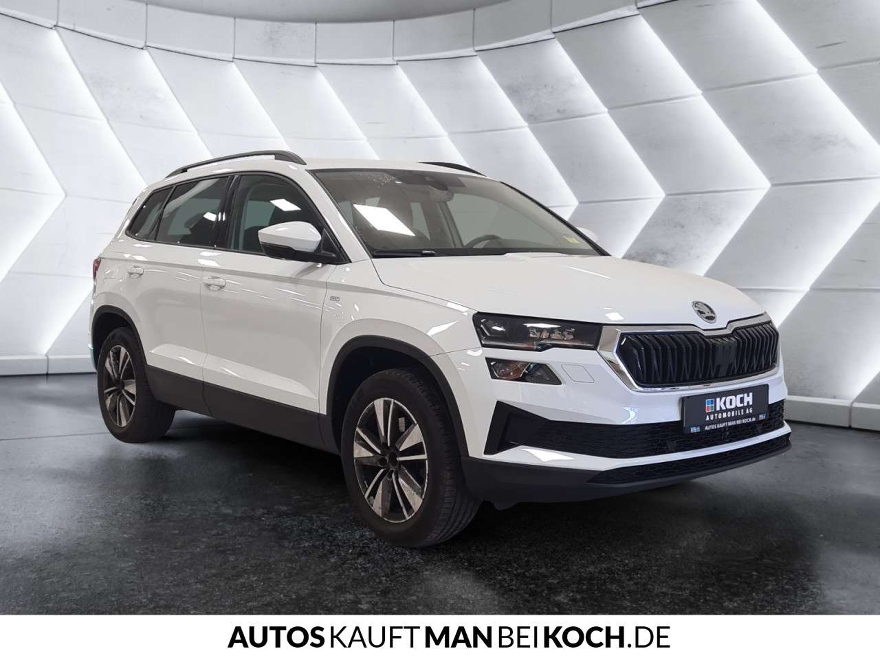 Fahrzeugbild eines Skoda Karoq