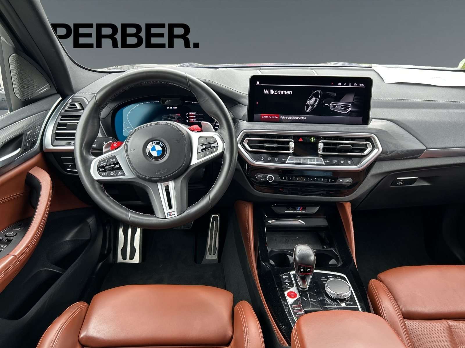 Fahrzeugbild eines BMW X3