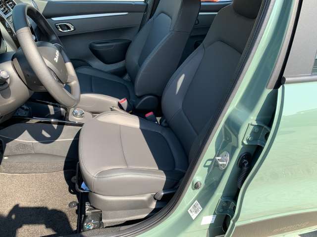 Fahrzeugbild eines Dacia Spring