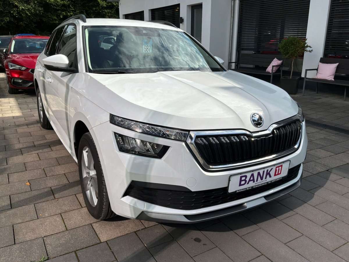 Fahrzeugbild eines Skoda Kamiq