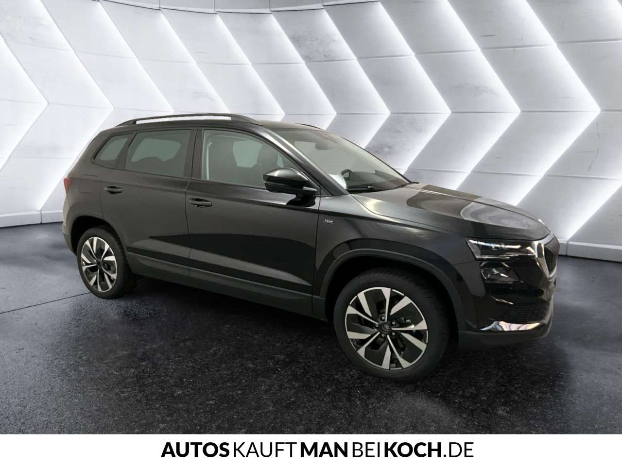 Fahrzeugbild eines Skoda Karoq
