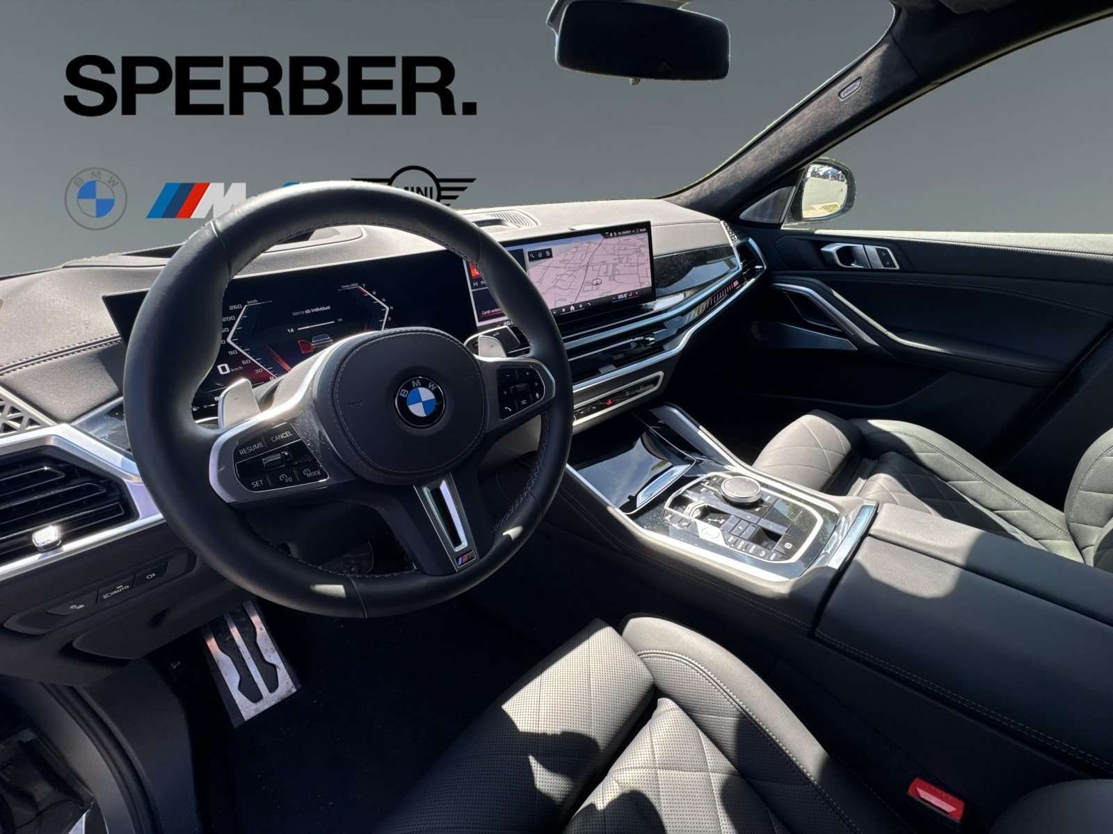 Fahrzeugbild eines BMW X6