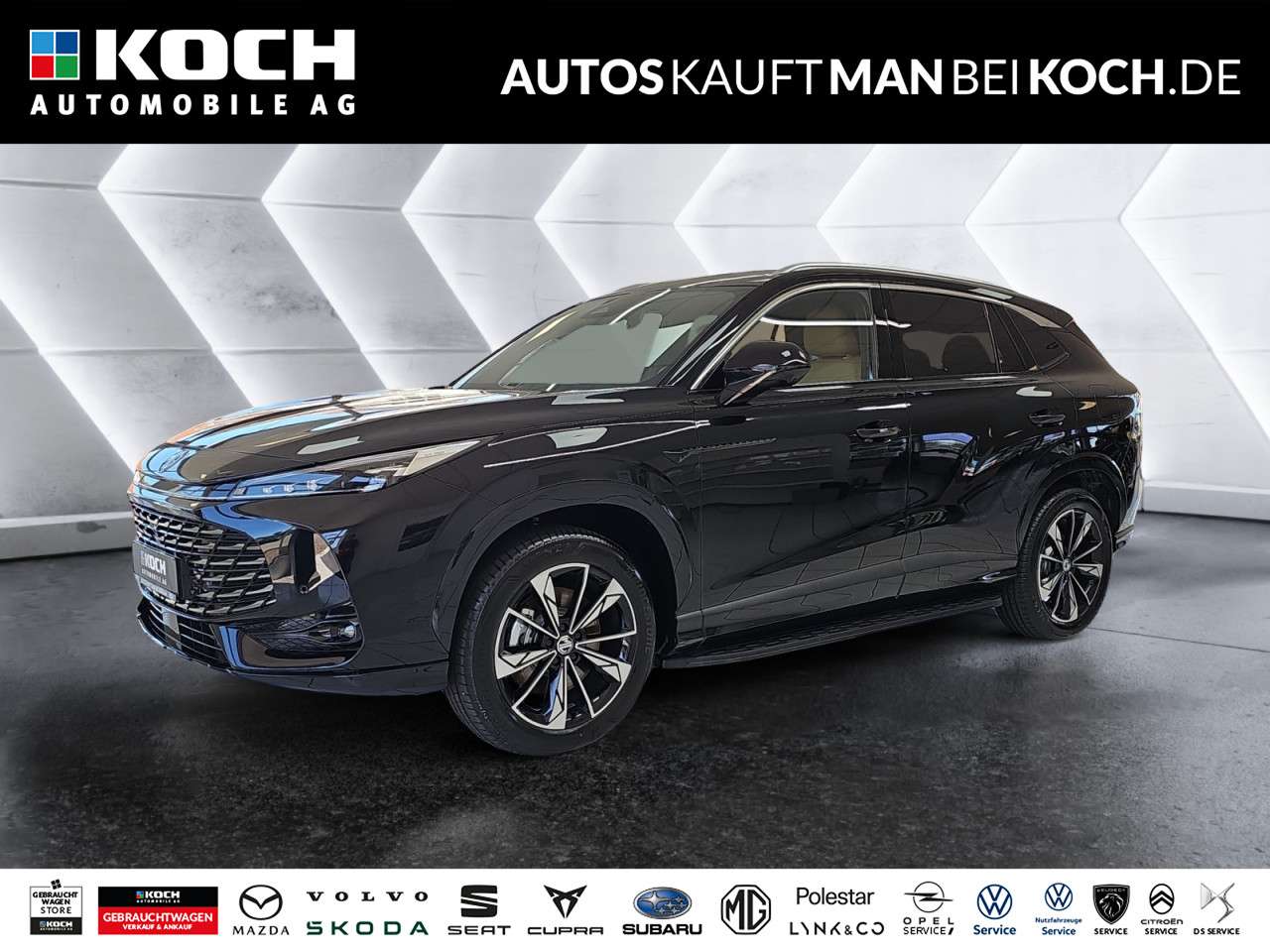 Fahrzeugbild eines MG HS