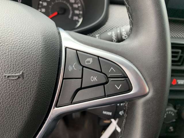 Fahrzeugbild eines Dacia Jogger